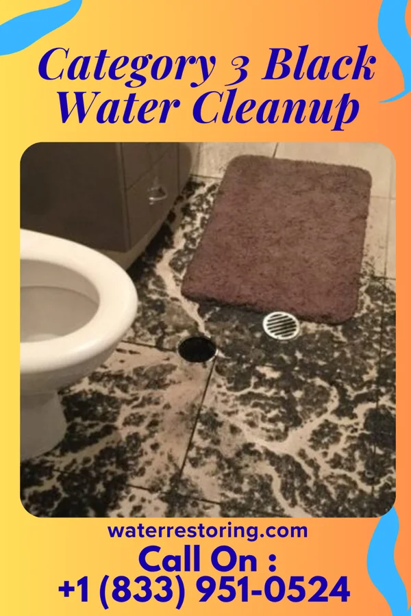 Category 3 Black Water Cleanup in Cedar Crest, PA
