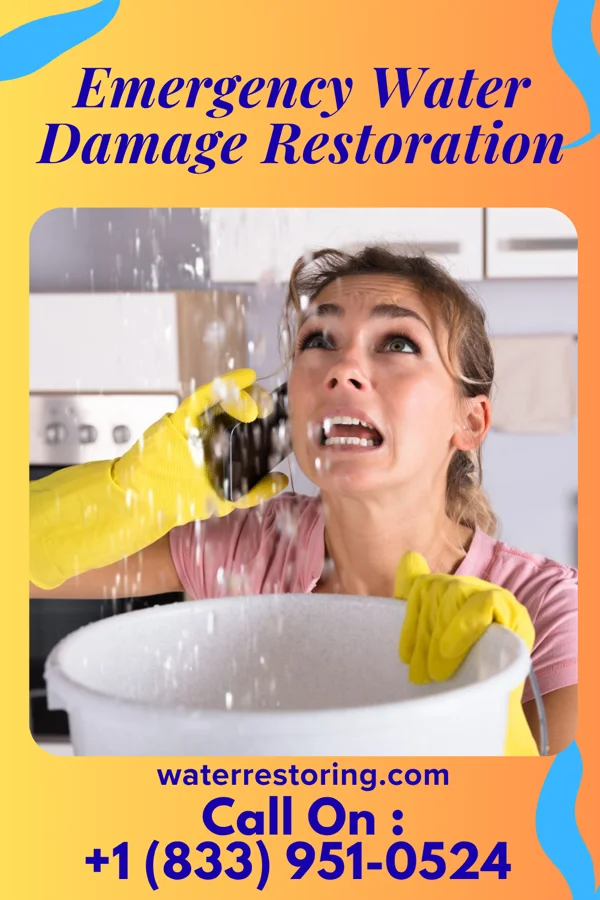 Emergency Water Damage Restoration in Cedar Crest, PA