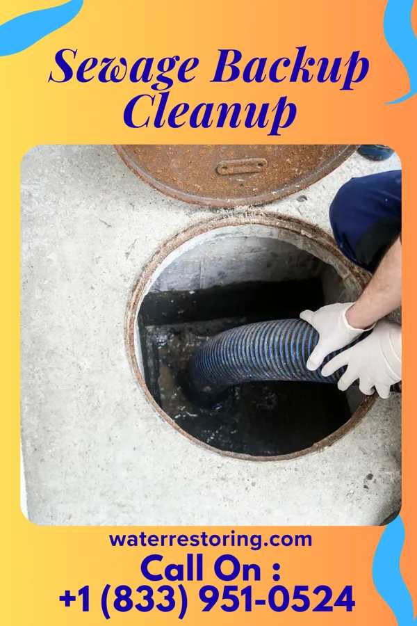 Sewage Backup Cleanup in Cedar Crest, PA